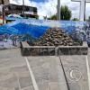 Mirador de Acuchimay