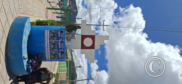 Av Benavides (4)