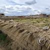 Century-old Adobe wall with ichu grass (2)