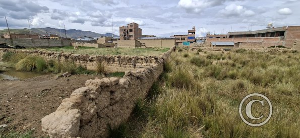 Century-old Adobe wall with ichu grass