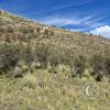 Gravel road up to the Mirador (4)