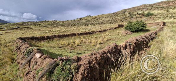 Inca family home-animal enclosure