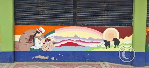 Mural on Jiron 2 de Mayo at Jiron Cusco (7)