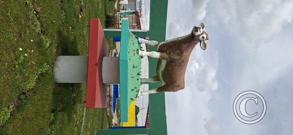 Park in the highway PE-35 at Jiron Atahuallpa