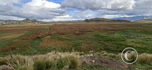 Reserva Ecologica La Moya