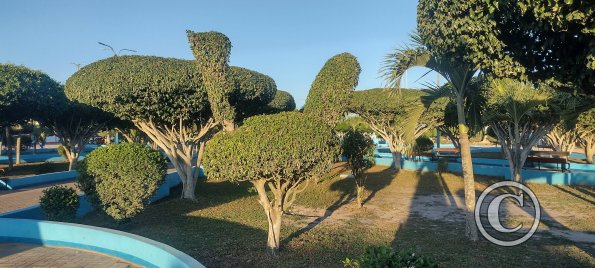 IMG_20230815_172731730_HDR