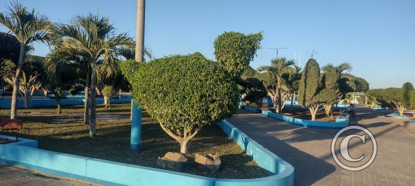 IMG_20230815_172748921_HDR