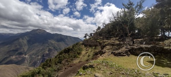 IMG_20250726_110624489_HDR