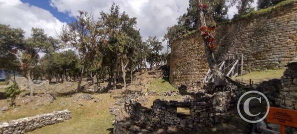 IMG_20250726_114031916_HDR