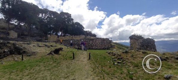 IMG_20250726_114247471_HDR