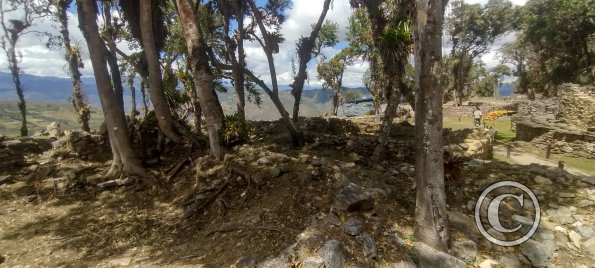 IMG_20250726_115022672_HDR
