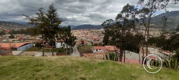 IMG_20250725_144812248_HDR