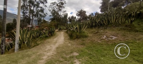 IMG_20250725_144822655_HDR