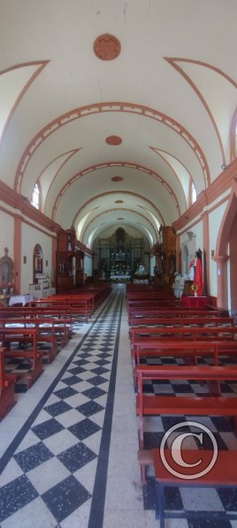 Iglesia Matriz Inmaculada Concepcion at the Plaza de Armas (3)