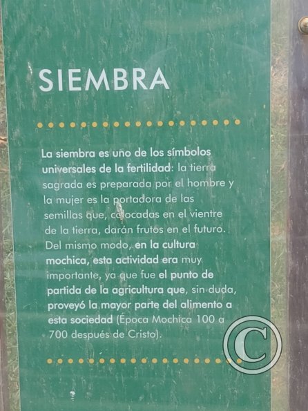 Paseo Yortuque-Av. Chinchaysuyo (25)
