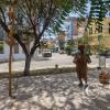 Paseo Yortuque-Av. Chinchaysuyo (30)