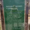 Paseo Yortuque-Av. Chinchaysuyo (32)