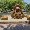 Paseo Yortuque-Av. Chinchaysuyo (67)