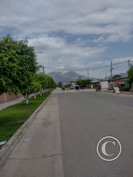 Street view (6)