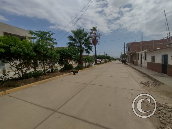 Street view (9)