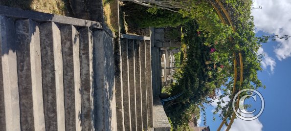 IMG_20250802_113432187_HDR