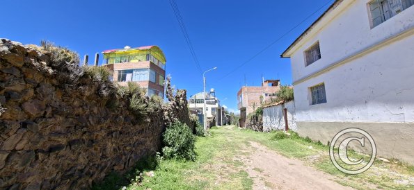 street scene (31)