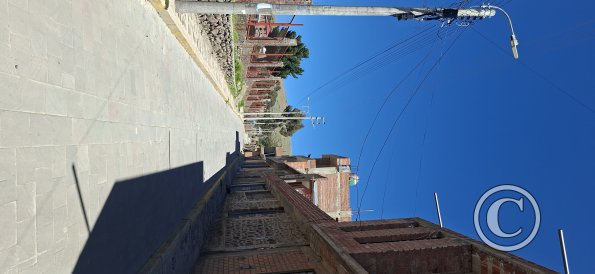 street scene (50)