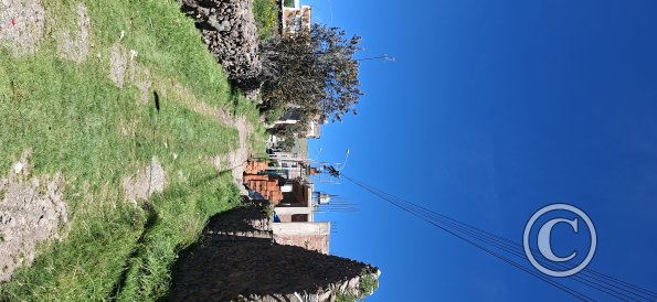 street scene (53)