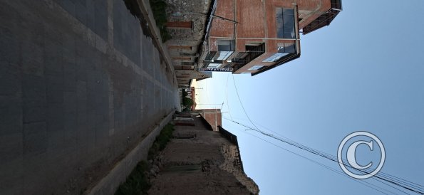 street scene (9)