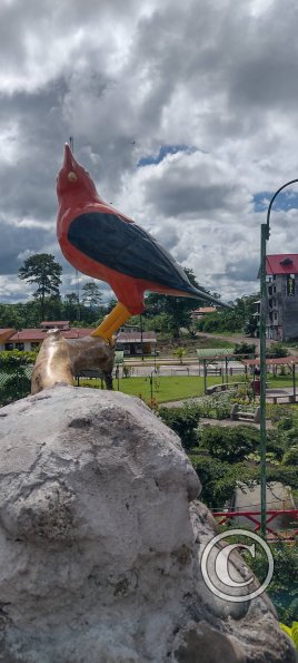 IMG_20250704_131707291_HDR