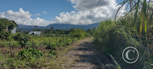 IMG_20250704_145558111_HDR