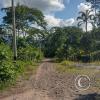 IMG_20250704_150146569_HDR
