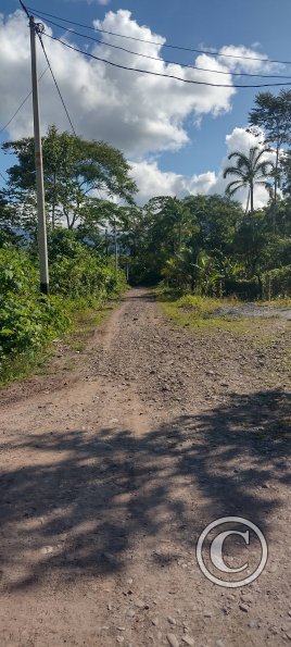 IMG_20250704_150146569_HDR