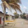 street view (23)