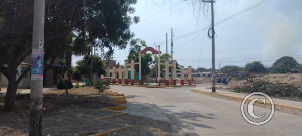 street view (25)