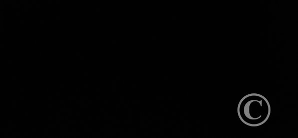d (2)