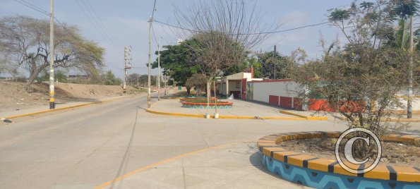street view (13)