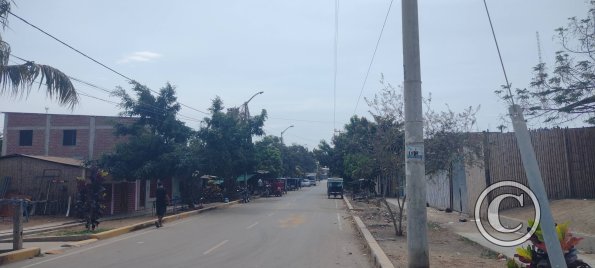 street view (22)