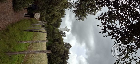 Along a trail UP to Christo Blanco statue and viewpoint (4)