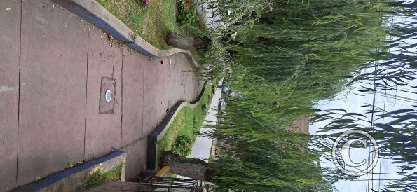 Median of Av Qosqo (2)
