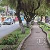 Median of Av Qosqo