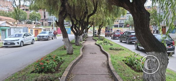 Median of Av Qosqo