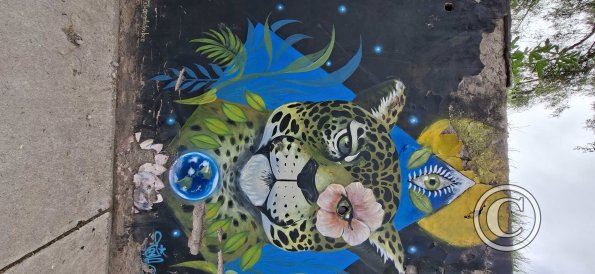 Mural at Jiron La Convencion and Jiron Acomayo (12)
