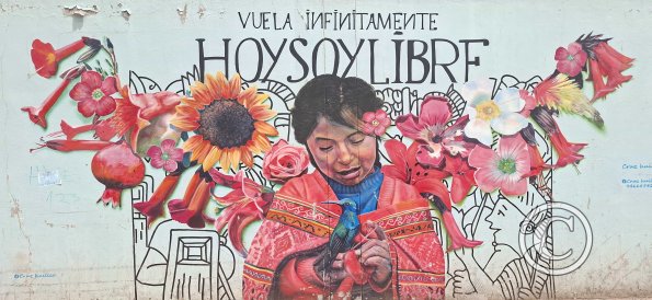 Mural at Via Expressa and Av Velasco Astete (5)