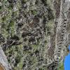 Ollantaytambo (10)