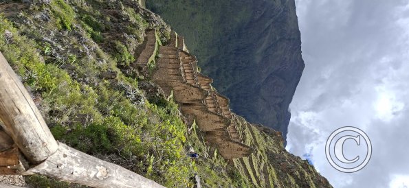 Ollantaytambo (102)