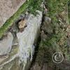 Ollantaytambo (112)