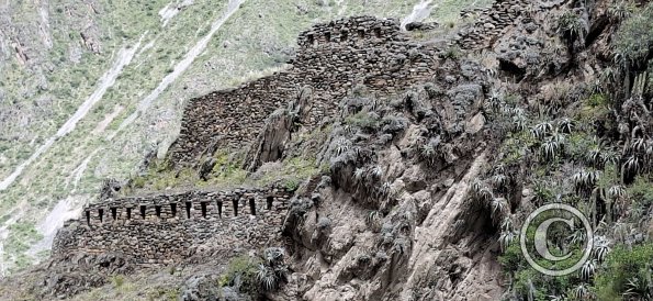 Ollantaytambo (15)
