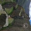 Ollantaytambo (23)