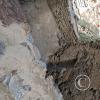 Ollantaytambo (79)